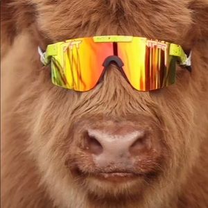 Meet your Posher, Josie